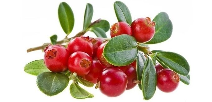 tratamento rápido da cistite com cápsulas naturais de cranberry Cyto Forte